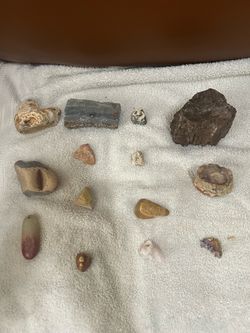 Petrified wood and rocks for decoration