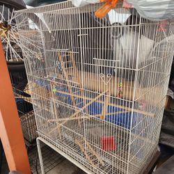 Bird Cages
