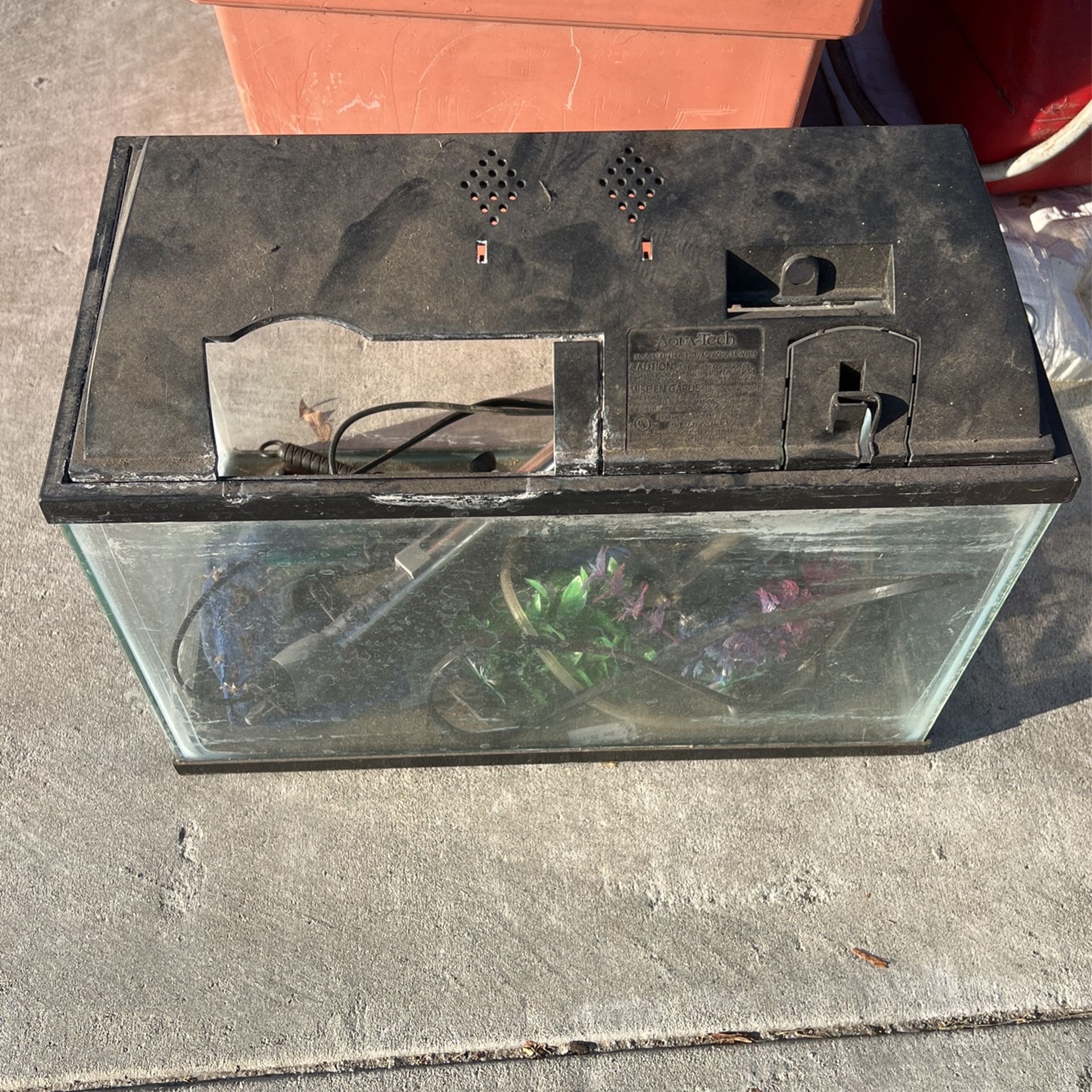 Fish Tank