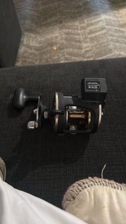 Fishing pole with reel