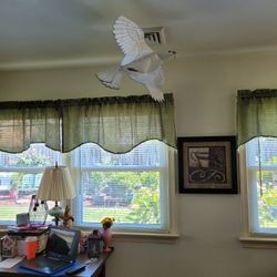 Dove In The Sky, This Was Displayed By Local Va Beach Artist In Atlanta 1996 Summer Olympics. View Video Very Impressive