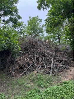 Free pecan wood for smoking or ??