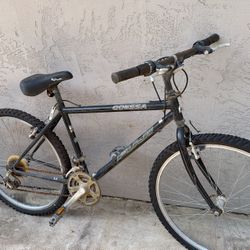 2 Bikes