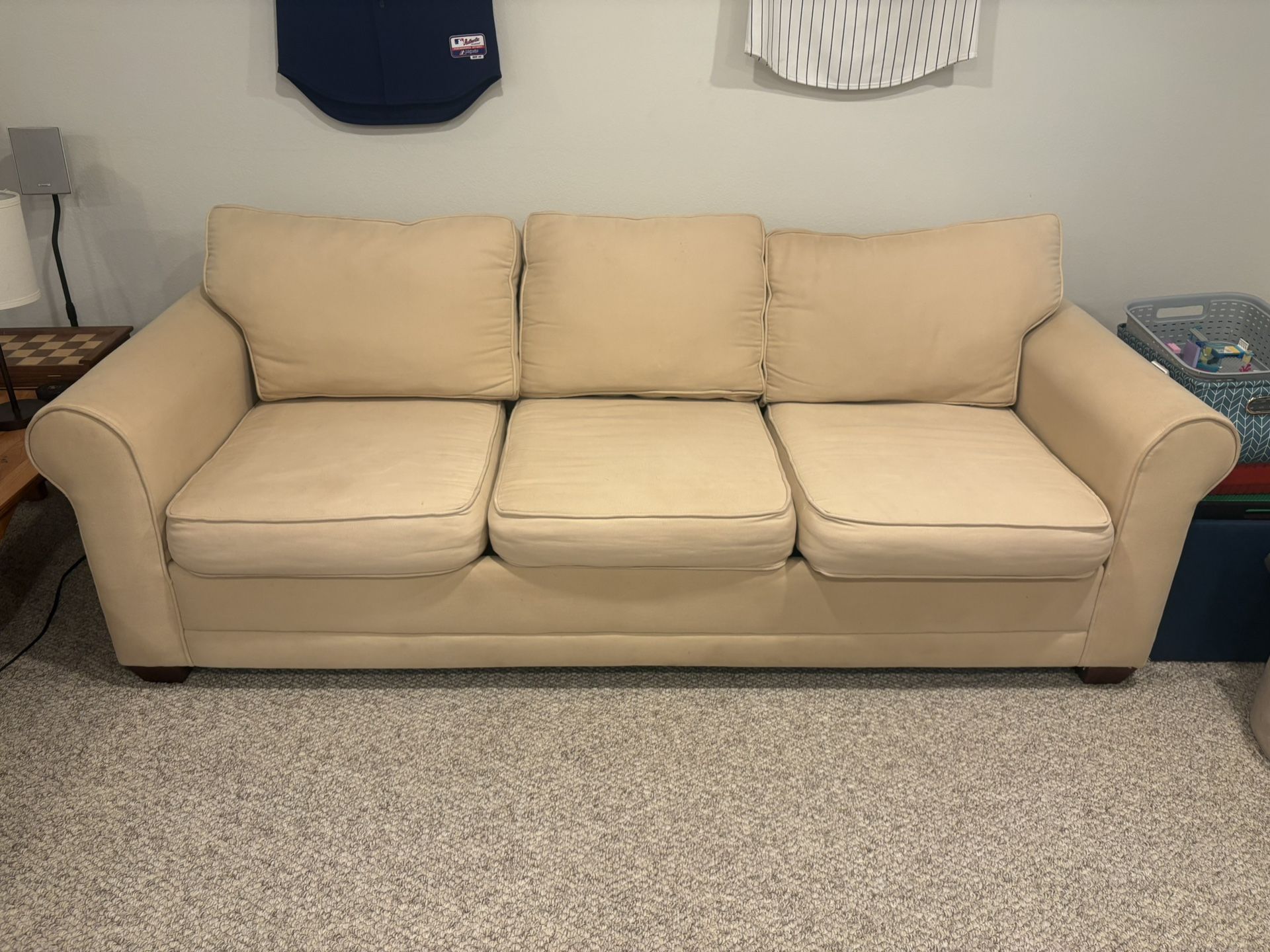 *FREE* Sleeper Sofa