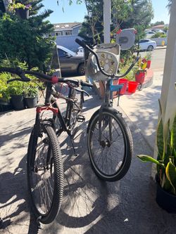 Bikes / bicicletas