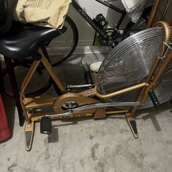 Schwinn Classic Airdyne, upright cardio bike