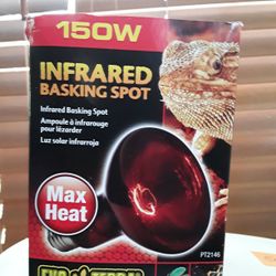 Infrared Basking Spot Lamp In Weeki Wachee Spring Hill