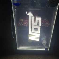Mini Fridge 