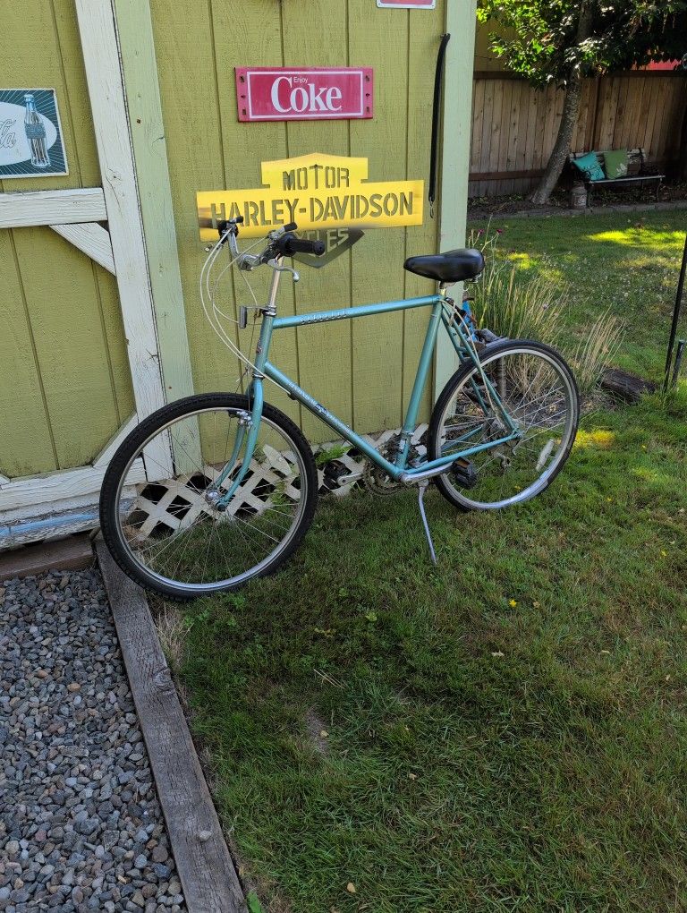 Raleigh Citylite Technium City sport Vintage Bicycle