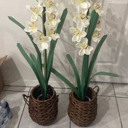 2 Large Artificial orchids