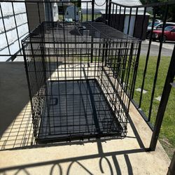 Large Crate