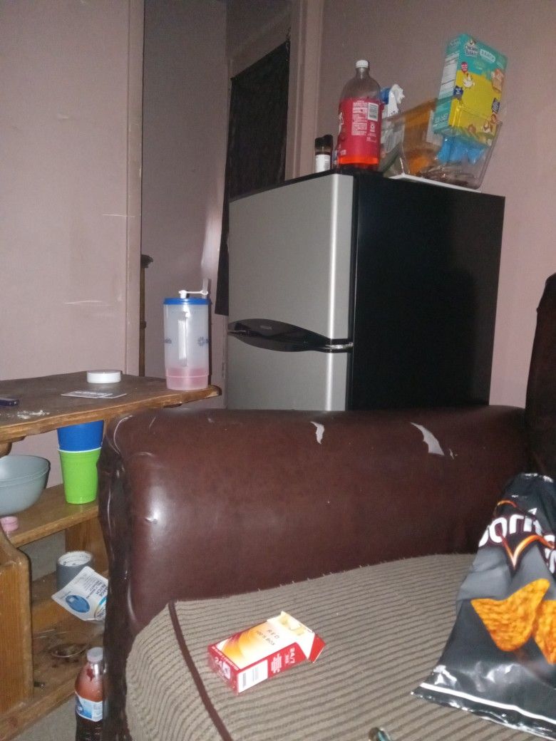 Frigidaire Mini Frezzer And Fridge