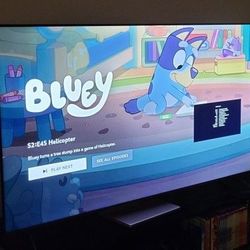 2023 TCL 65" Fire TV. 