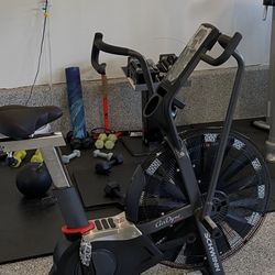 Schwinn Airdyne Air Bike – Gently Used – Purchased 2020