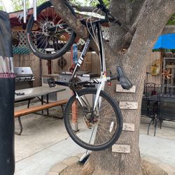 Mountain Bike Specialized 