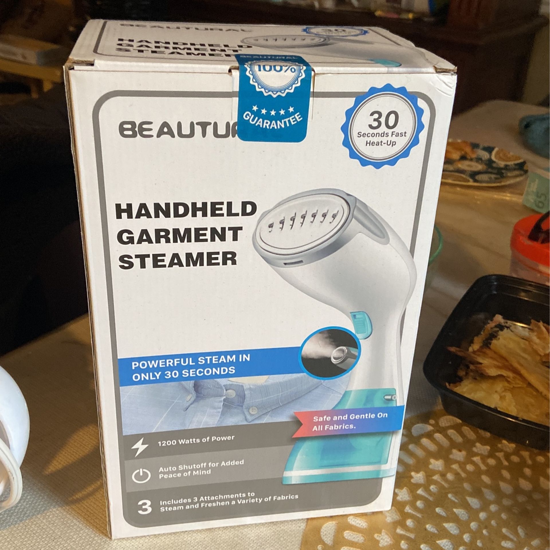 Handheld Garment Steamer.