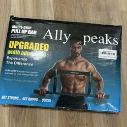 Pull Up Bar