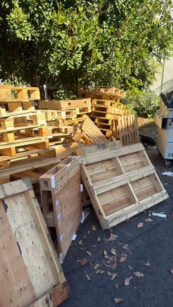Free cardboard and lots of pallets