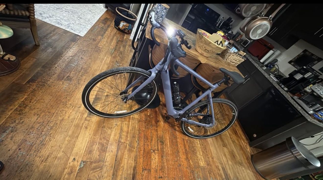 Momentum VOYA E+ 1 – Large – Indigo – Ridden Twice