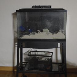 29 Gallon Tank & Stand