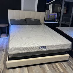 FREE DELIVER SAME DAY 