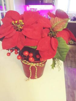 Christmas Decoration - Indoor Artificial Poinsettia in Plant Pot