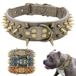 Dog collar for sale
