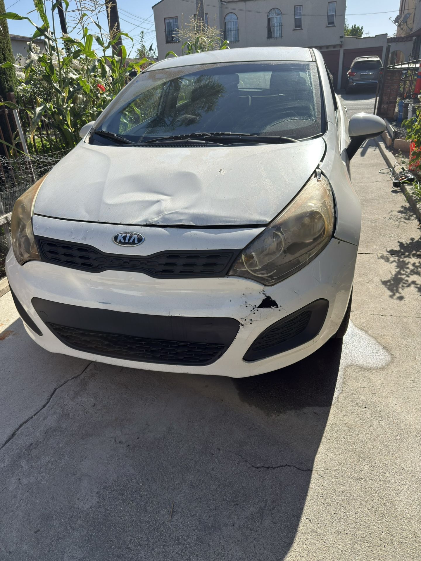 2013 KIA Rio