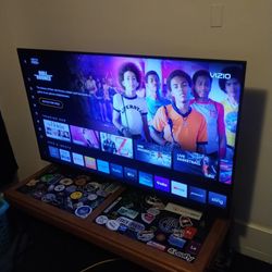 Vizio 55" TV