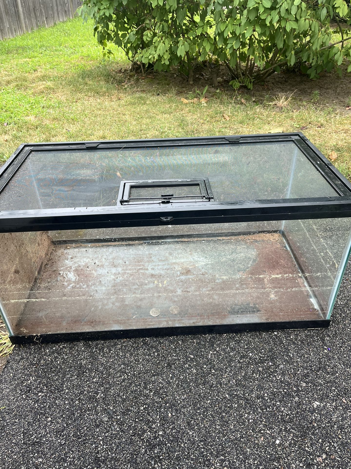 60 gallon reptile tank