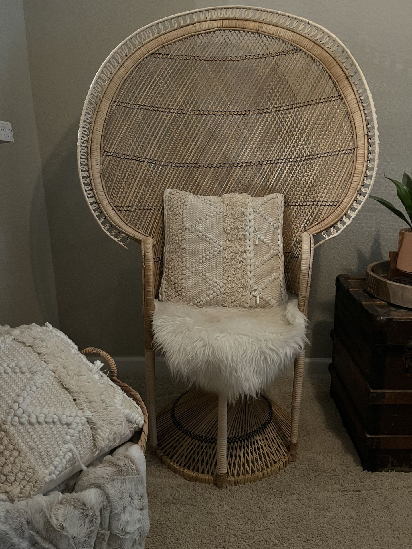Peacock Chair