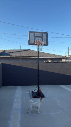 Basketball court