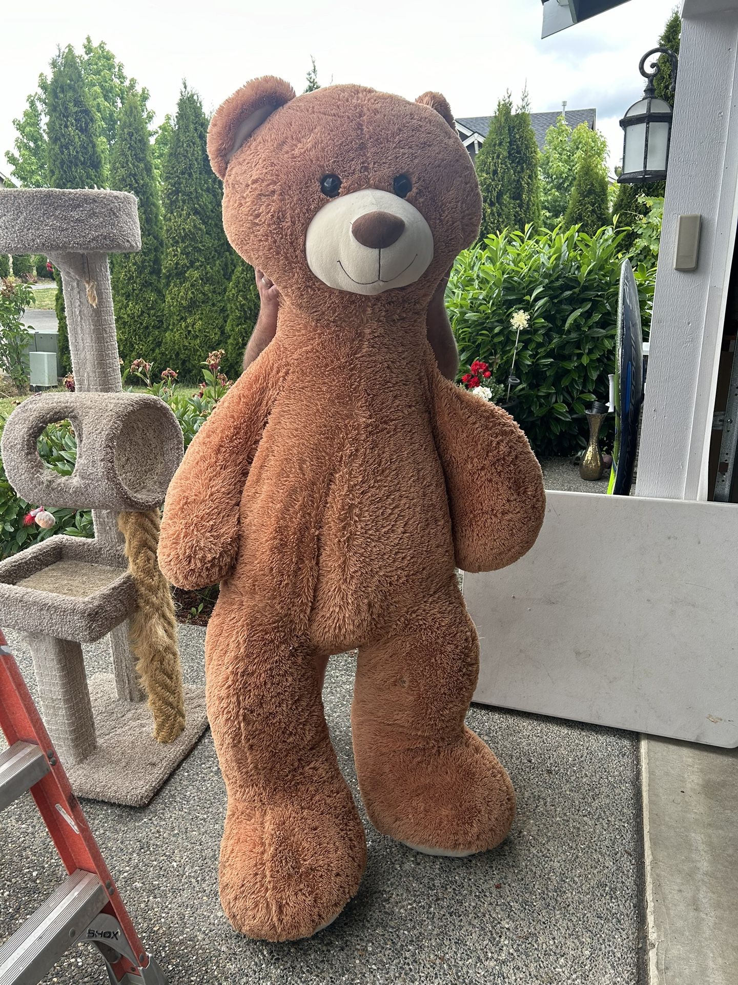 Big Teddy Bear