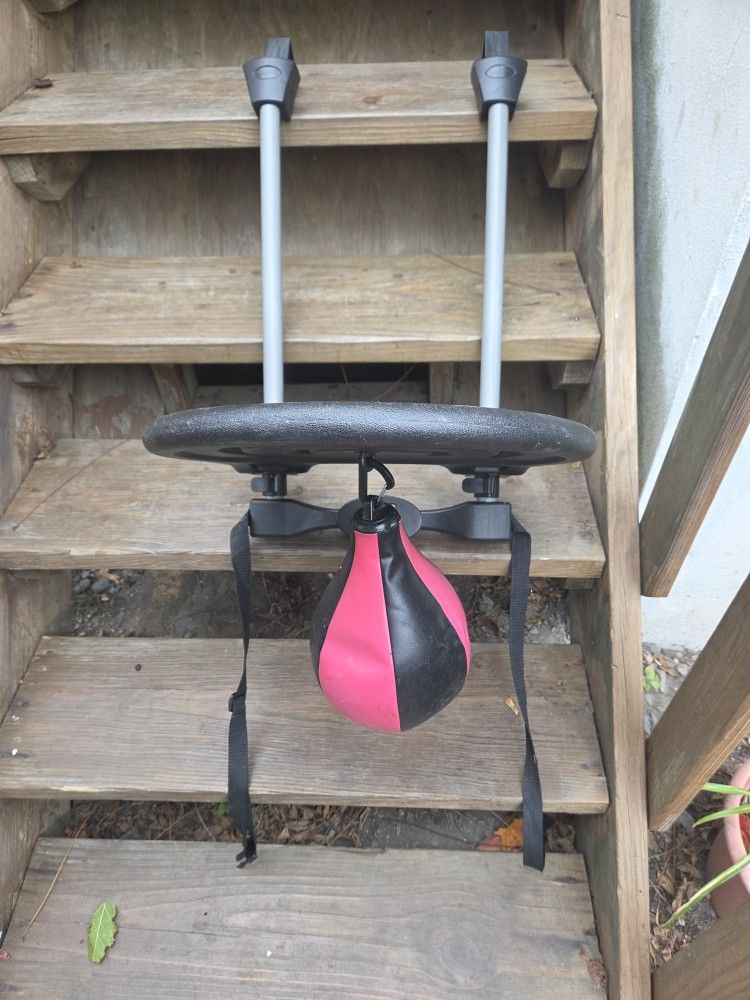 Punching Bag
