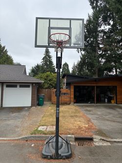 FREE Basketball hoop
