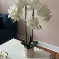 Home Decor Flower Vase 