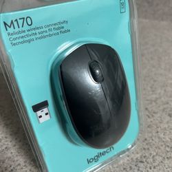 Logitech M170 Wireless Mouse 