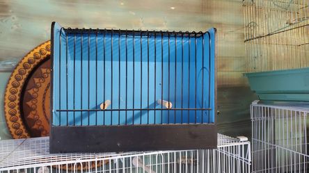Show Cages