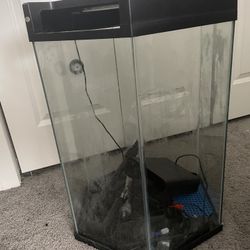 Fish Tank