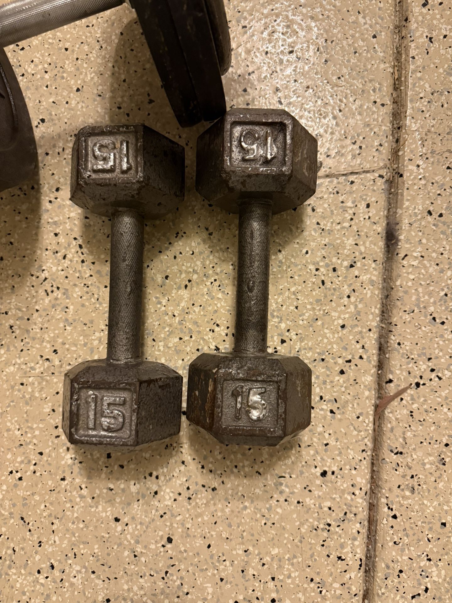 15lbs Dumbbells Pair