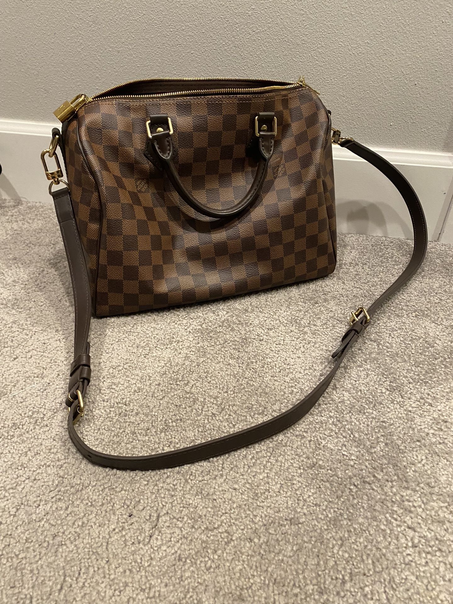 Louis Vuitton Purse