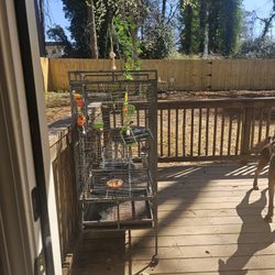 Bird Cage