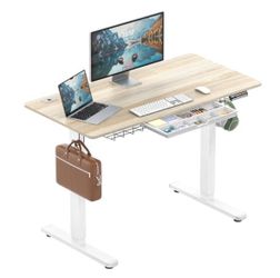 SHW 48-inch electric height adjustable desk