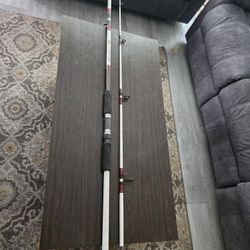 Abu Garcia Commodore CS90M 9’ Medium Action Deep Sea Fishing Rod Pole Graphite