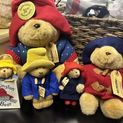 Padddington Bear Collection 