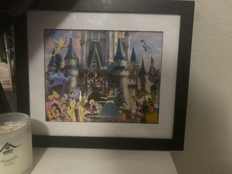 Disney Magic Kingdom Picture Frame