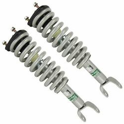 Dacota/ Raider Struts 