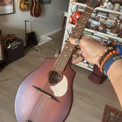 Seagull Acoustic Mandolin