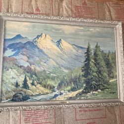 Picture/Mountain View /Robert Woods