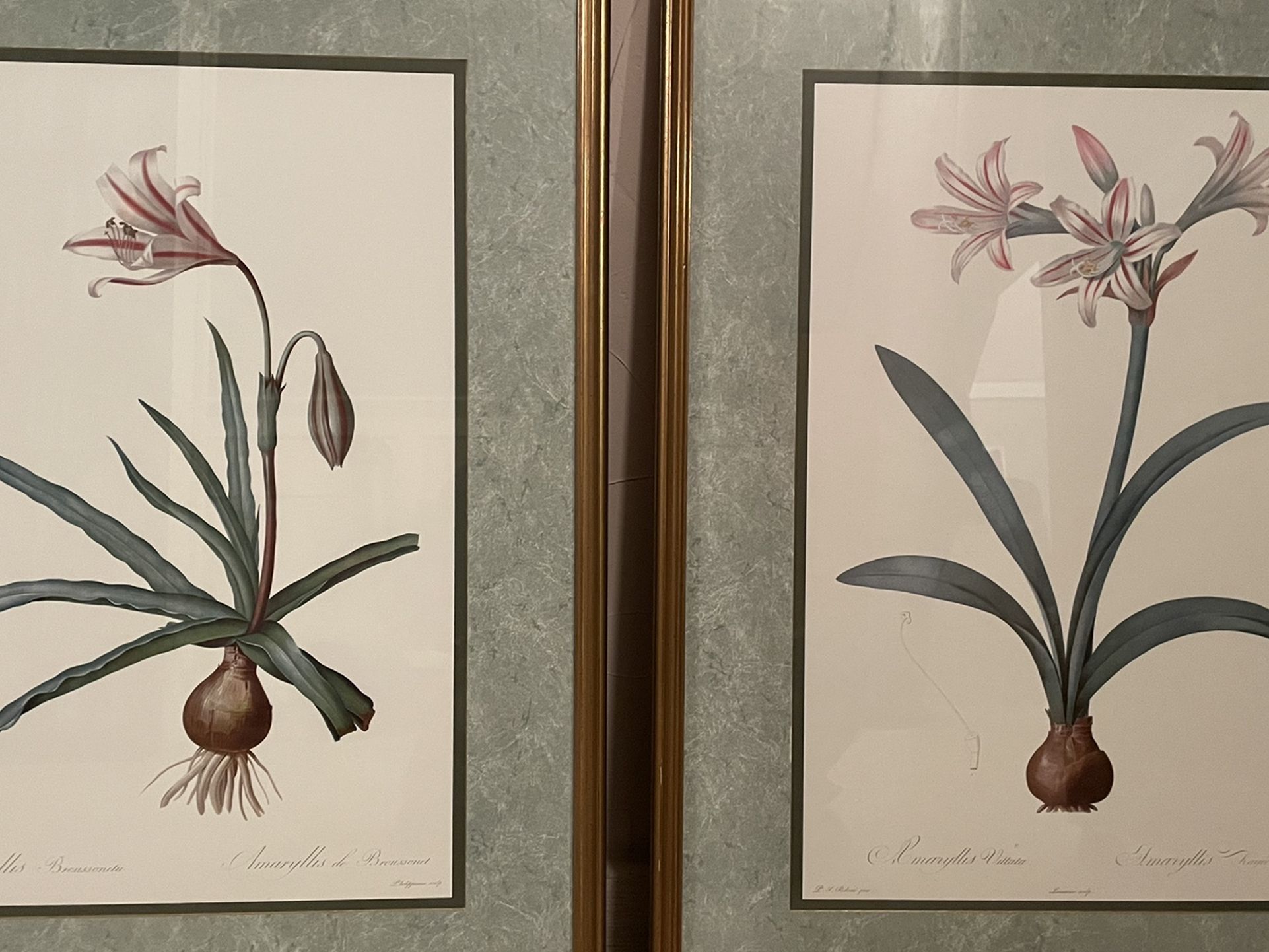 24x30 Framed Artwork Ready To Hang Framed In A Traditional Gold Frame To Match Artwork With A Double Matting With Greens, Glass, & Papered Backing